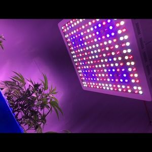 Meet your Posher, Rhys